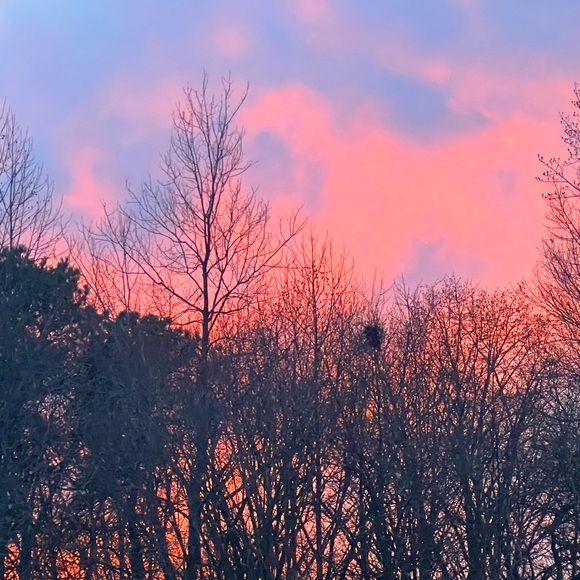 Beauty bundle (Read Description) - Picture 1 of 1